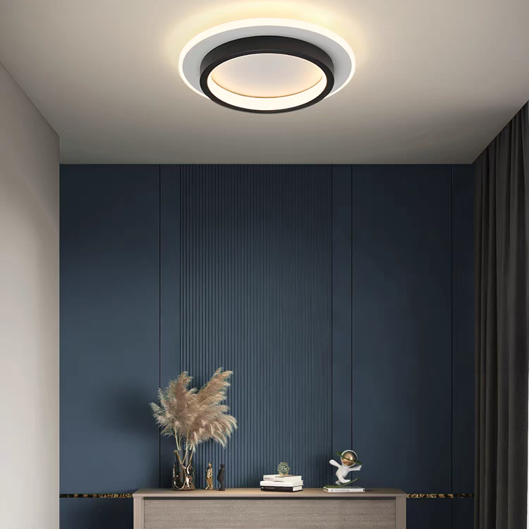 Art Deco LED Ceiling Light – Modern Acrylic Fixture for Living Room