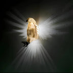 Artistic Luminous Wings Wall Lamp – Nature’s Majesty Illuminated