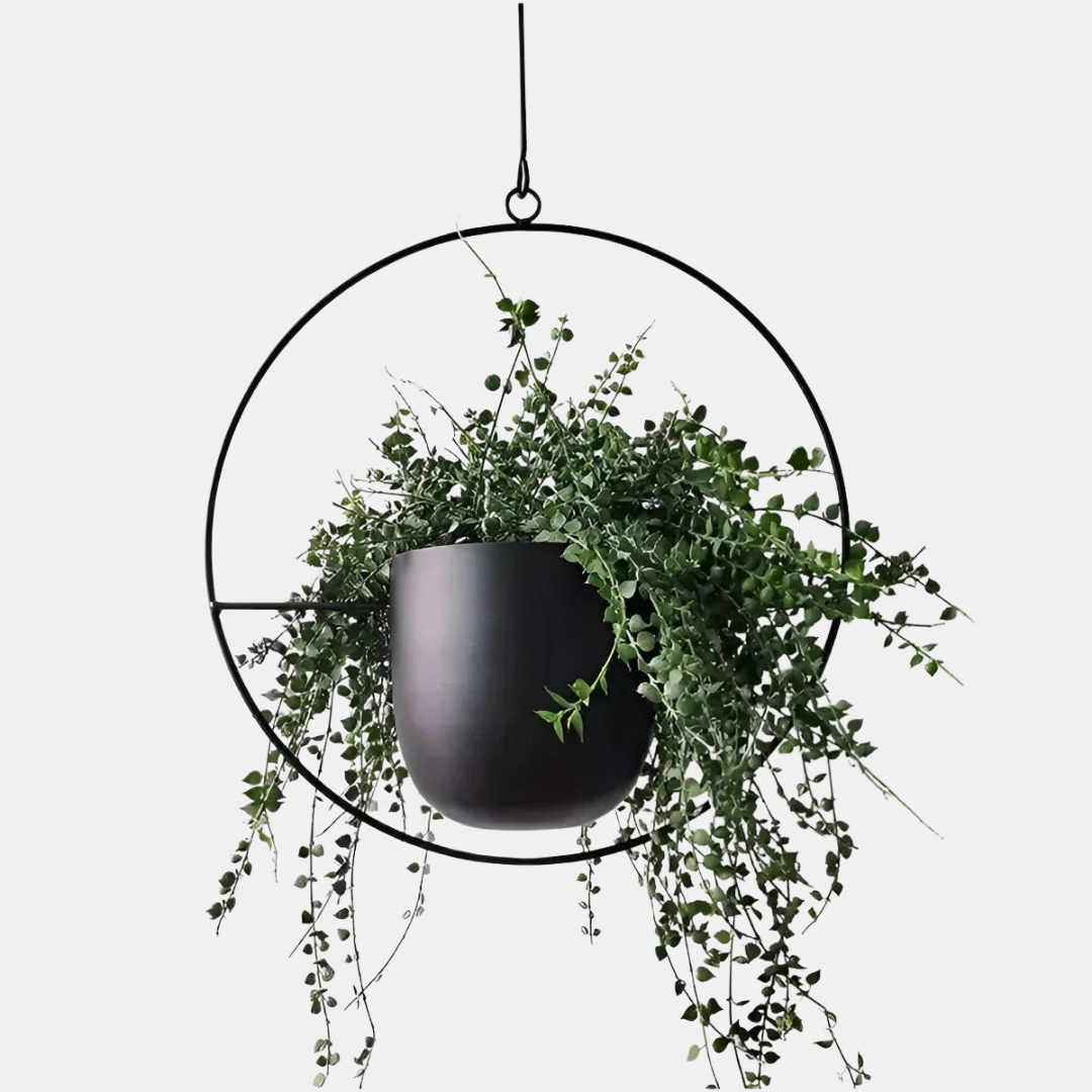 Modern Indoor Plant Pot Decoration – Elegant Minimalist Planter for Home Decor