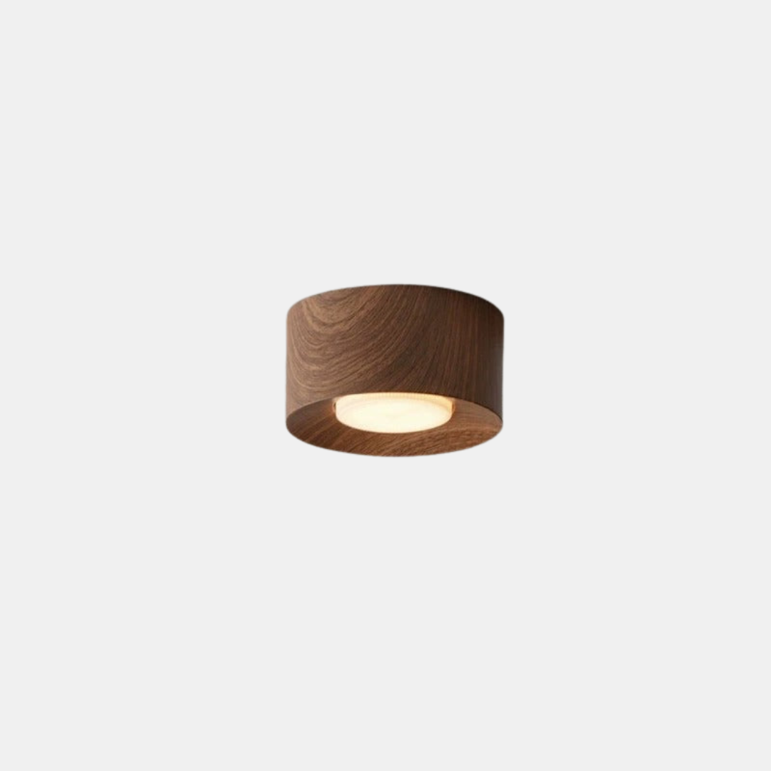 Modern LED Ceiling Light – Modern Illumination for Your Home