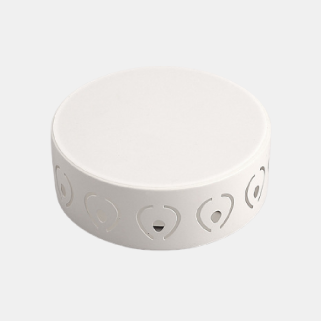 Modern LED Ceiling Light – Sleek Flush Mount Design