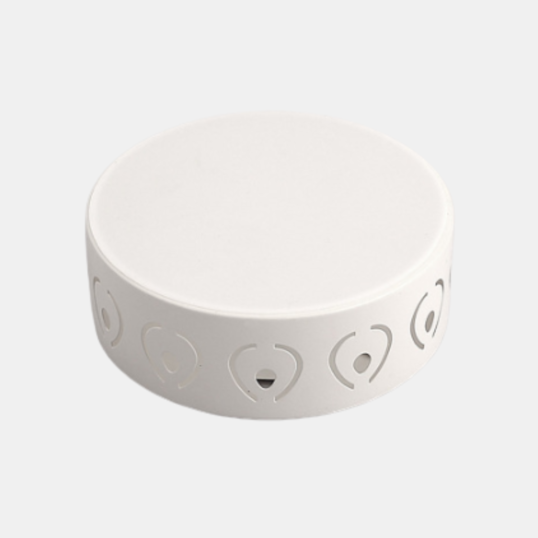 Modern LED Ceiling Light – Sleek Flush Mount Design