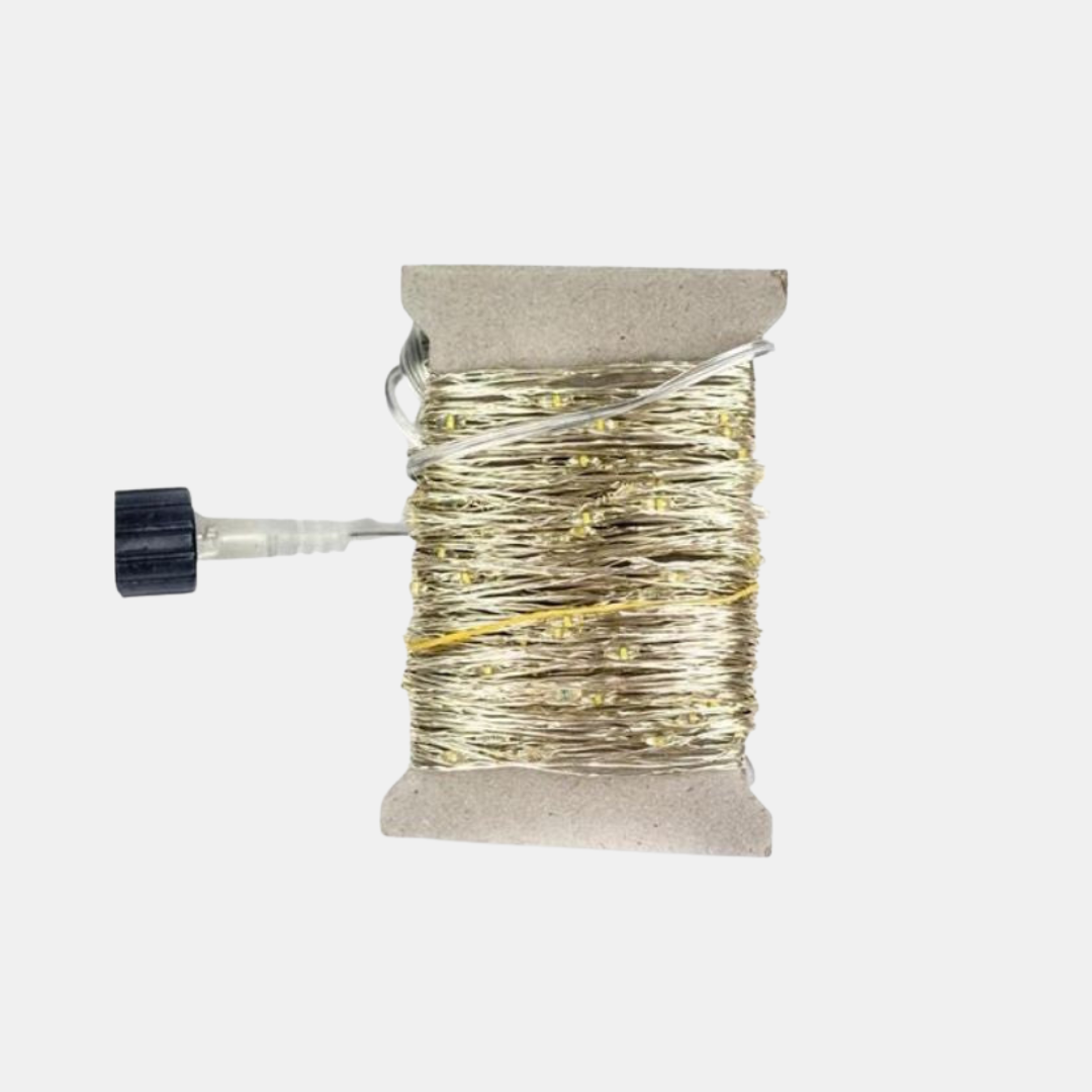LED Fairy Lights for Outdoor and Indoor Use