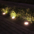 Elegant Solar Powered LED Garden Light