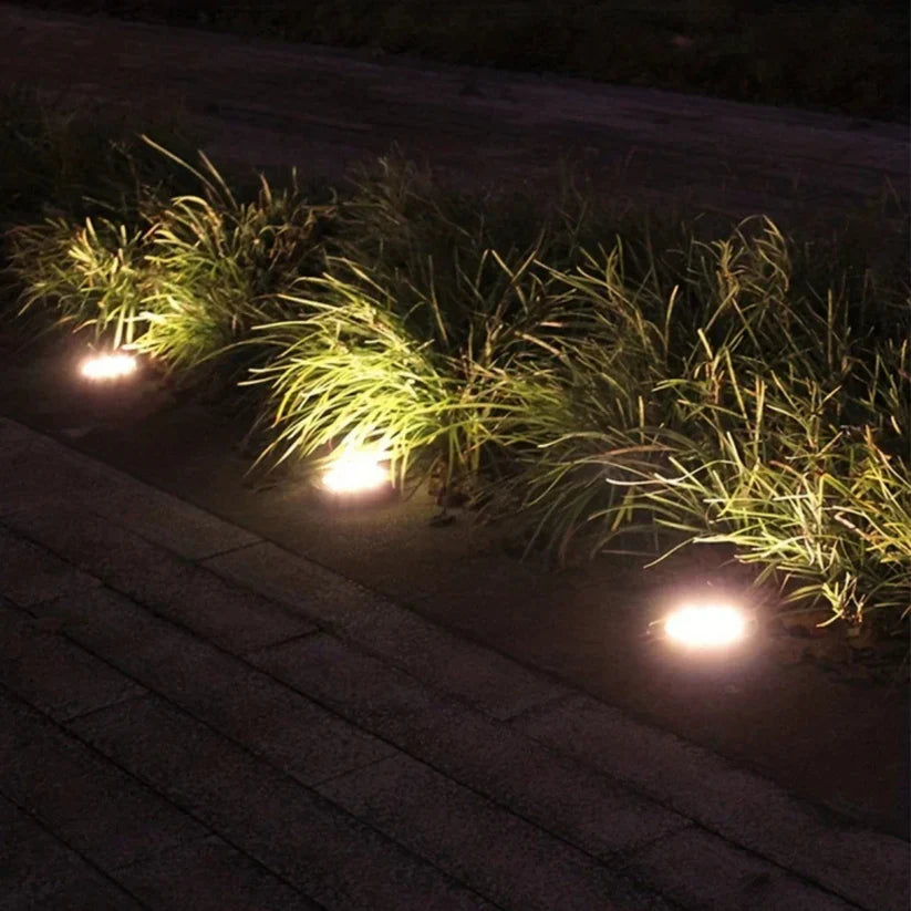Elegant Solar Powered LED Garden Light