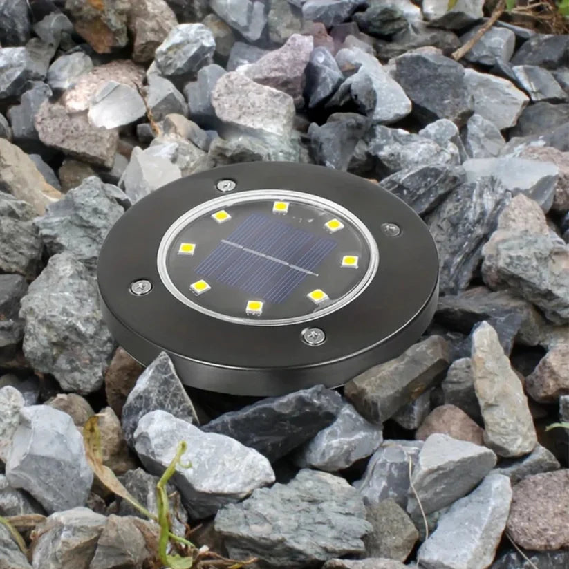 Elegant Solar Powered LED Garden Light