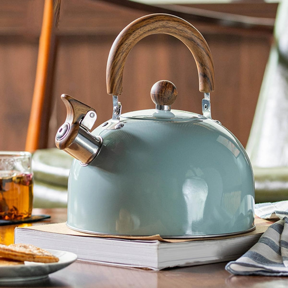 Elegant Whistling Kettle – Timeless Stainless Steel Design