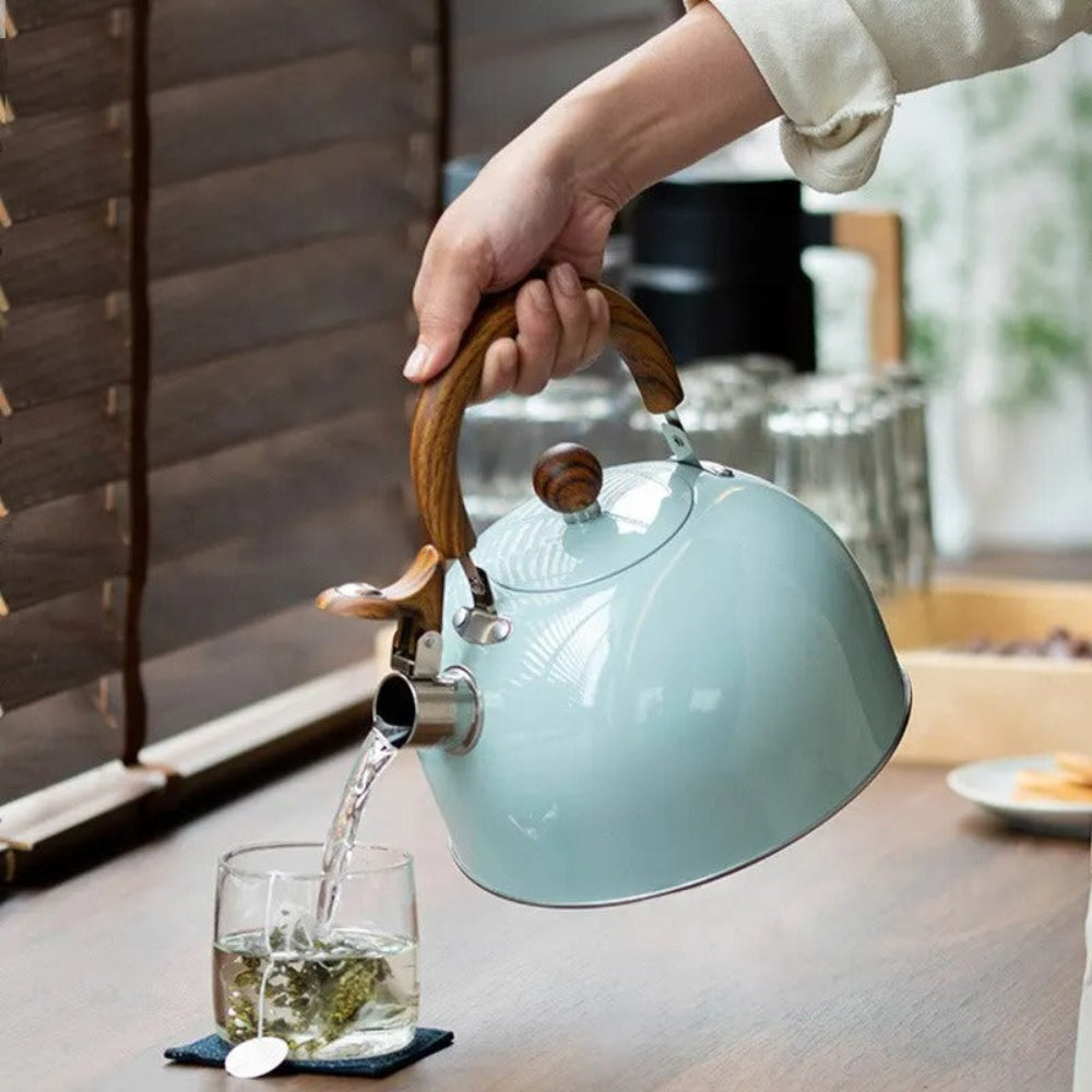 Elegant Whistling Kettle – Timeless Stainless Steel Design