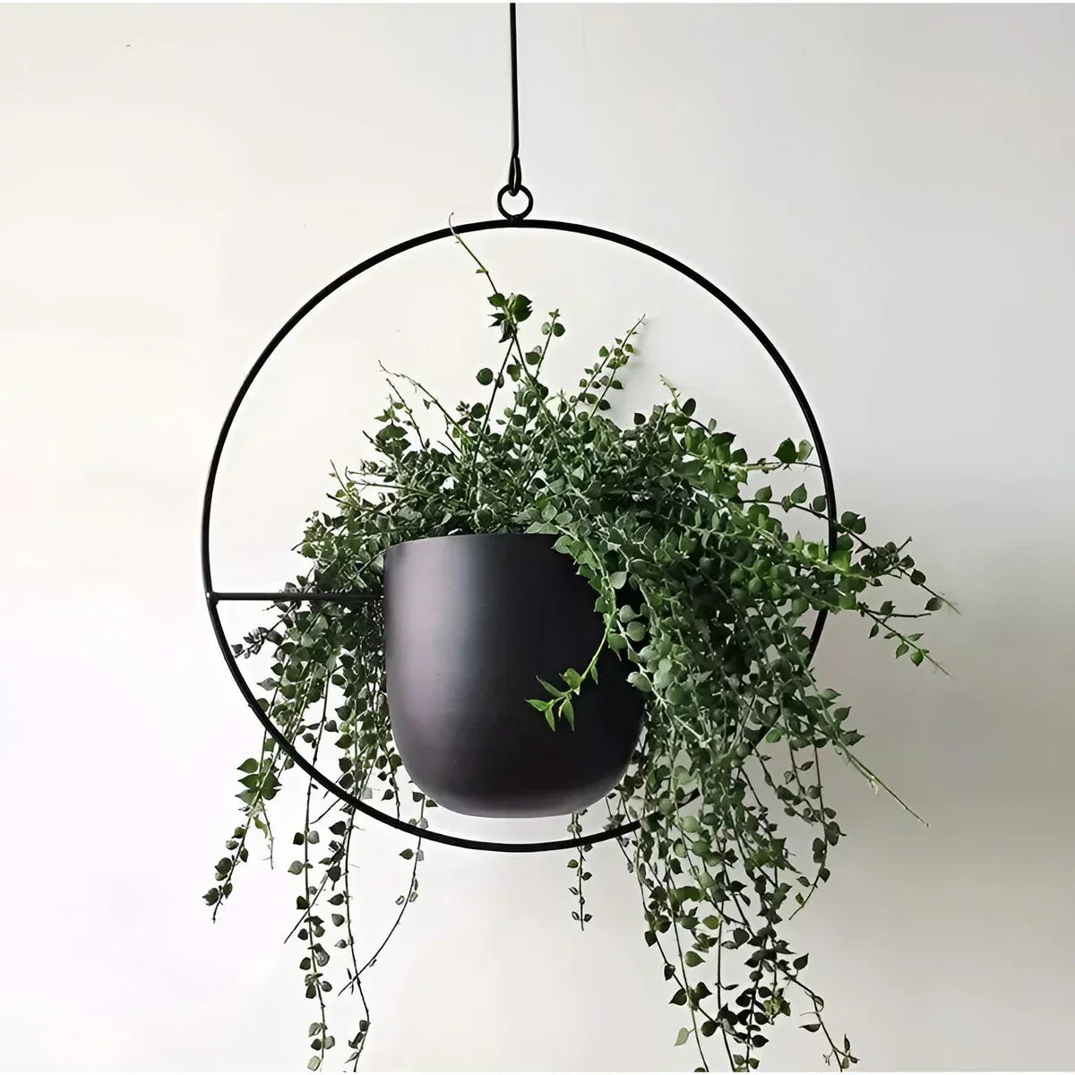 Modern Indoor Plant Pot Decoration – Elegant Minimalist Planter for Home Decor