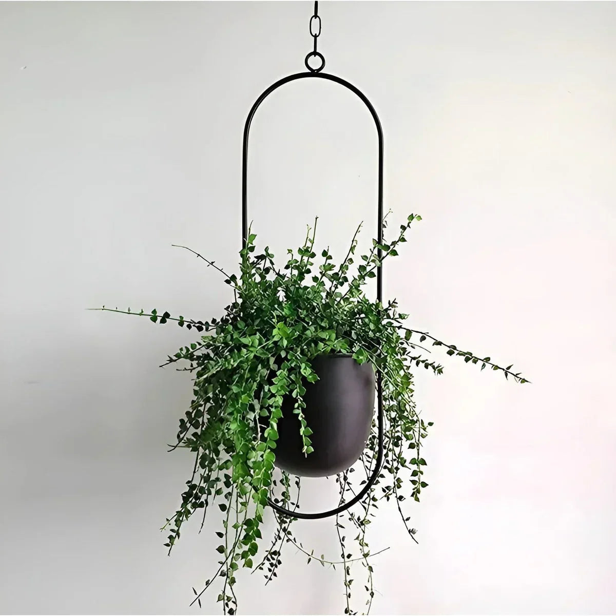 Modern Indoor Plant Pot Decoration – Elegant Minimalist Planter for Home Decor