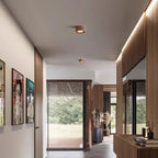 Modern LED Ceiling Light – Modern Illumination for Your Home