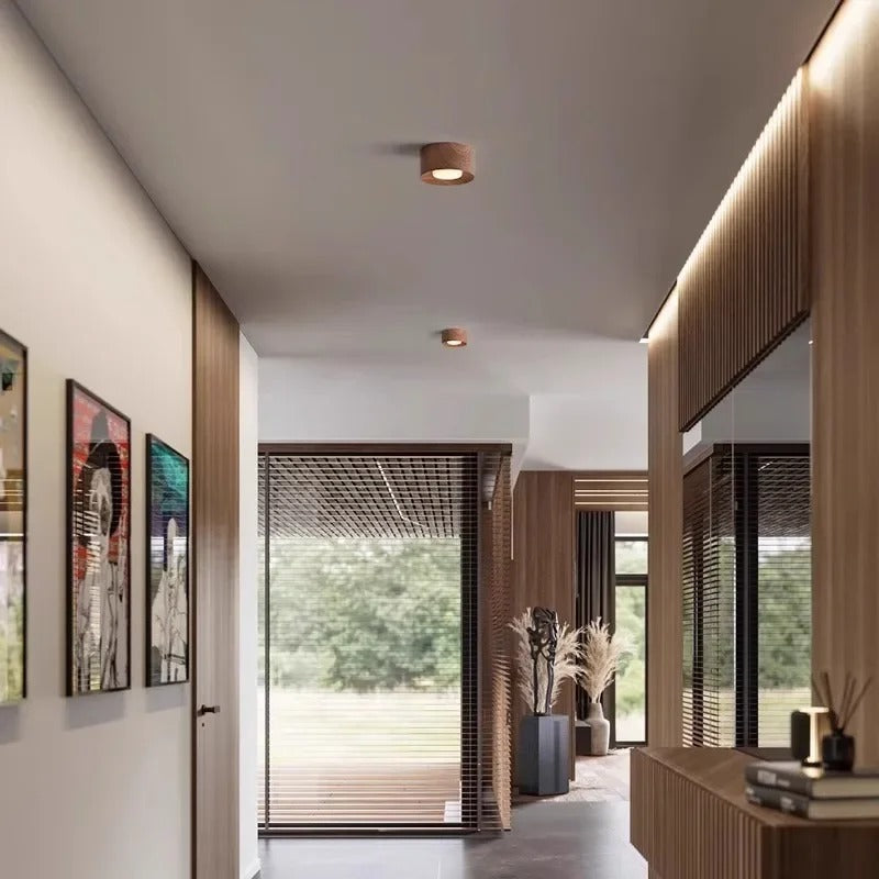 Modern LED Ceiling Light – Modern Illumination for Your Home